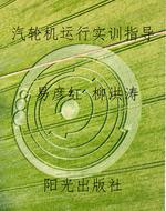 汽轮机运行实训指导