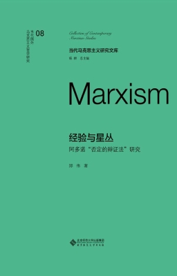 经验与星丛：阿多诺“否
