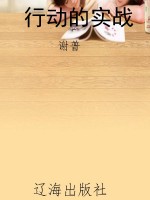 行动的实战
