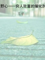野心——穷人致富的催