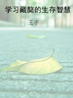 学习藏獒的生存智慧
