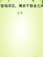 官场浮沉，博弈于取舍之