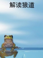解读狼道