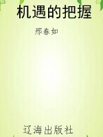 机遇的把握
