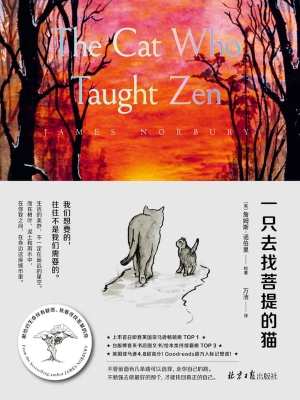 一只去找菩提的猫