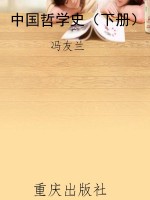 中国哲学史（下册）