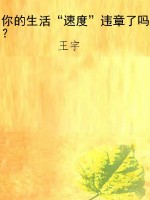 你的生活“速度”违章