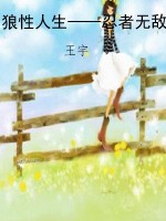 狼性人生——忍者无敌