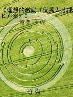 《理想的激励（优秀人才