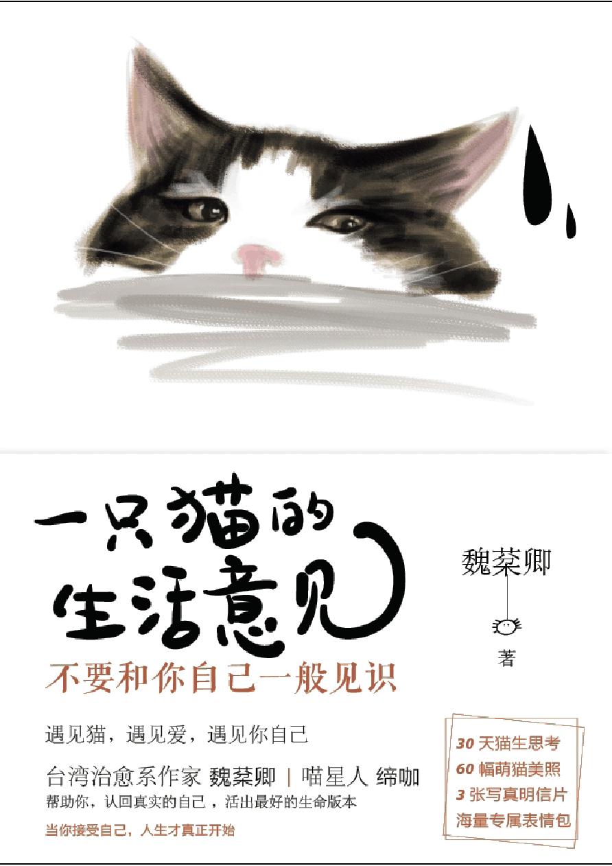 一只猫的生活意见——