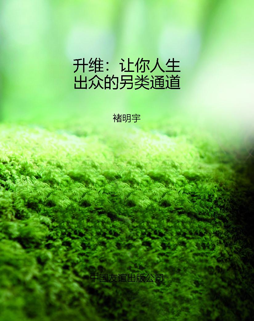 升维：让你人生出众的另