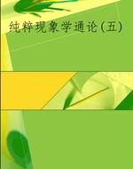 纯粹现象学通论(五)
