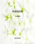 机会的价值