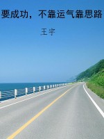 要成功，不靠运气靠思路