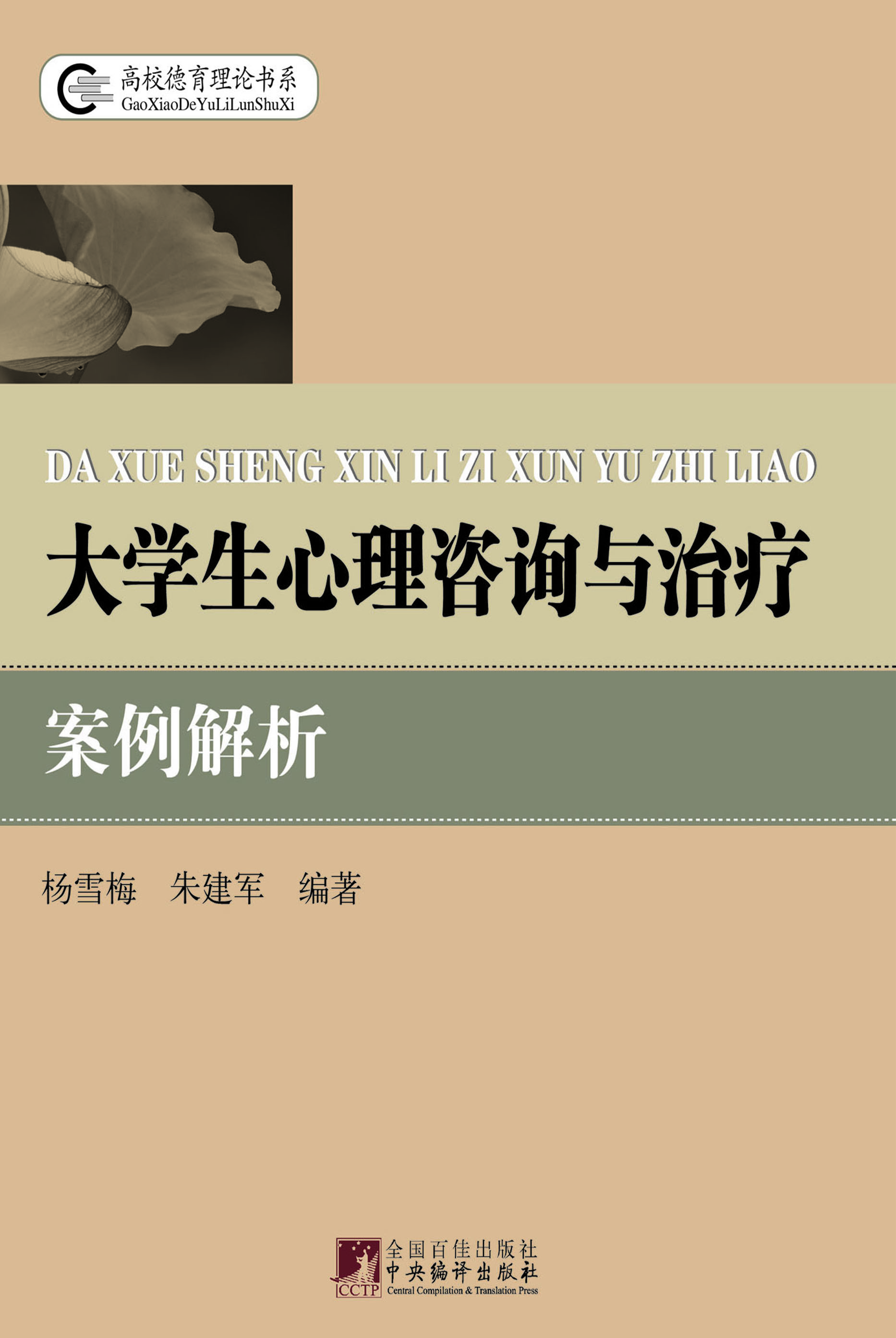 大学生心理咨询与治疗