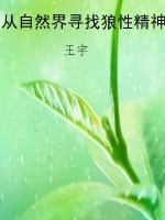 从自然界寻找狼性精神