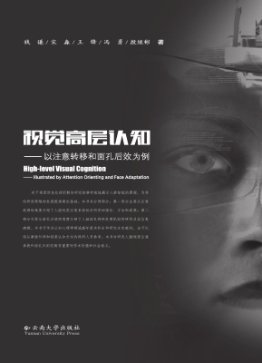 视觉高层认知