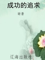 成功的追求