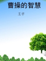 曹操的智慧