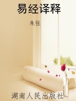 易经译释