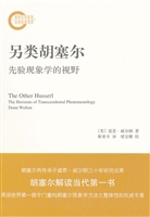 另类胡塞尔