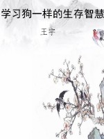 学习狗一样的生存智慧