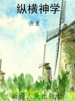 纵横神学