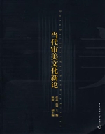 当代审美文化新论