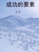 成功的要素