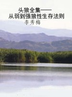头狼全集——从弱到强