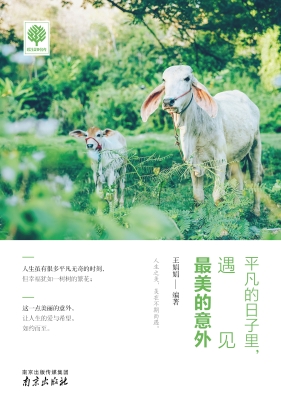 平凡的日子里，遇见最美