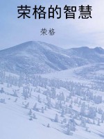 荣格的智慧