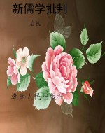 新儒学批判
