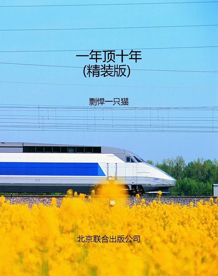 一年顶十年（精装版）