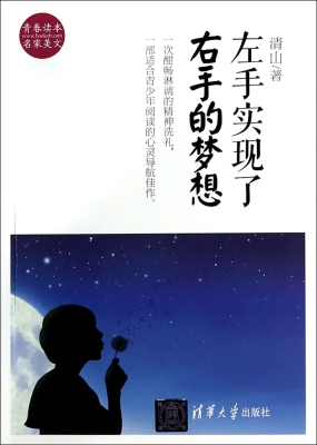 左手实现了右手的梦想