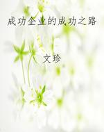 成功企业的成功之路