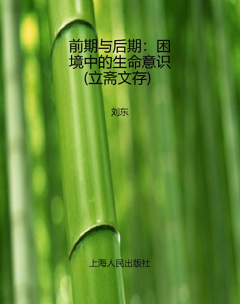 前期与后期：困境中的生