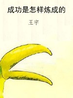 成功是怎样炼成的