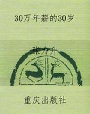 30万年薪的30岁