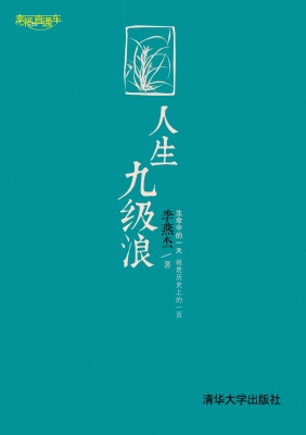 人生九级浪