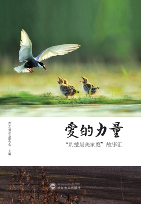 爱的力量：“荆楚最美家