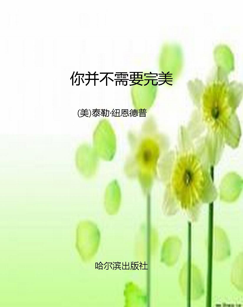 你并不需要完美