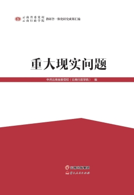 重大现实问题