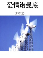 爱情诺曼底
