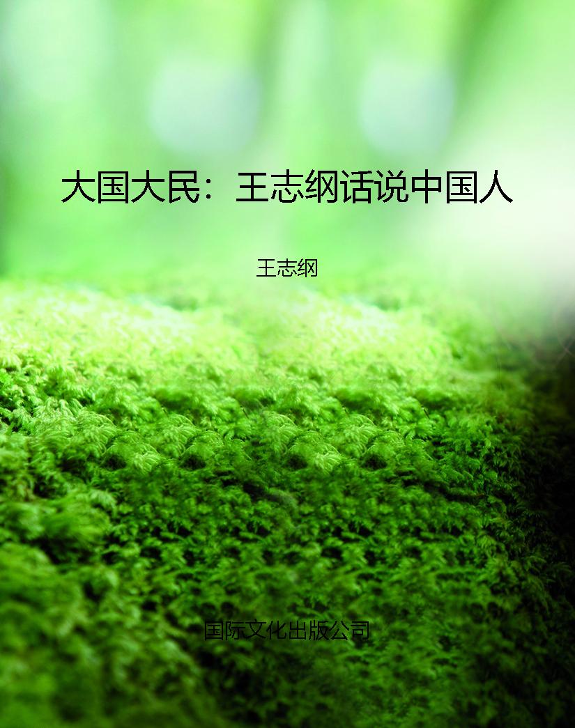 大国大民：王志纲话说中