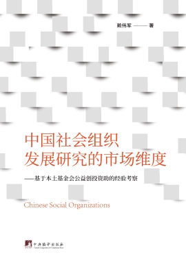 中国社会组织发展研究