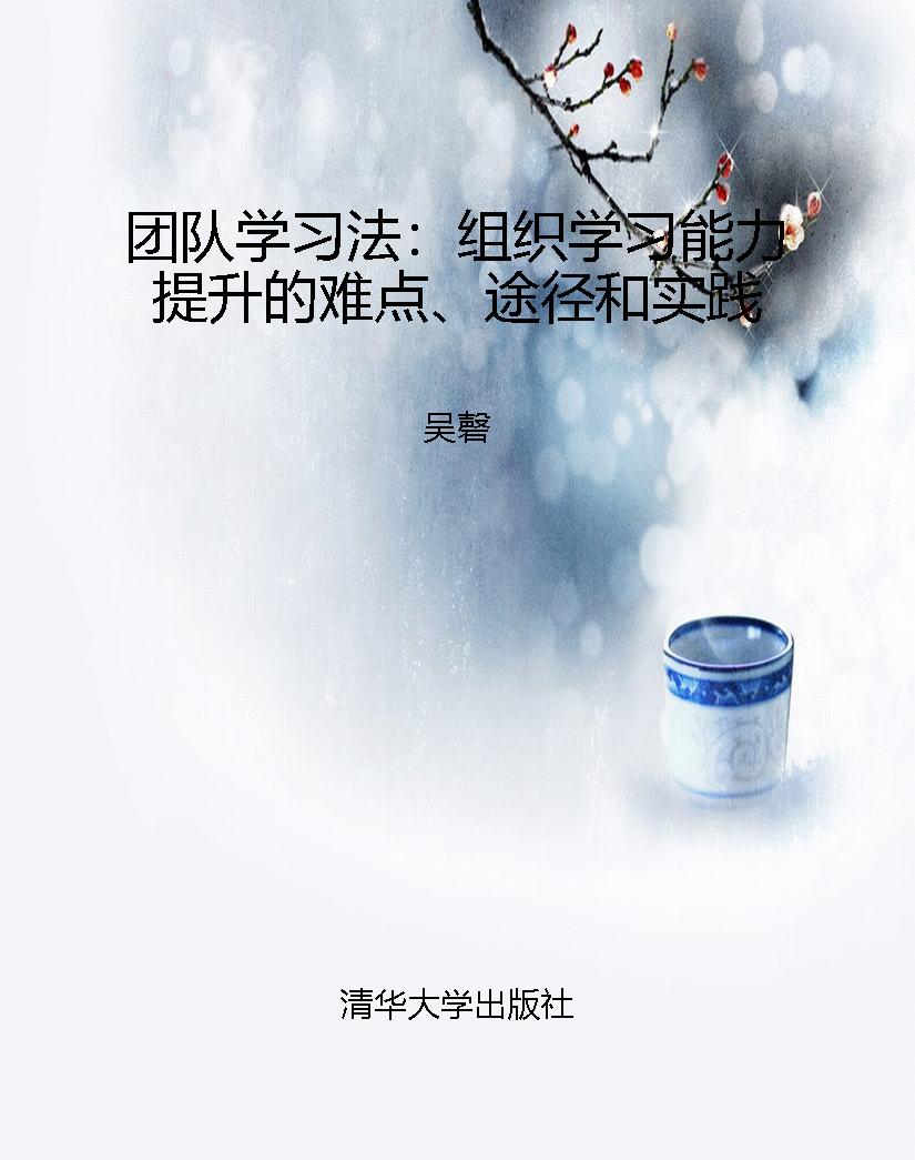 团队学习法：组织学习能