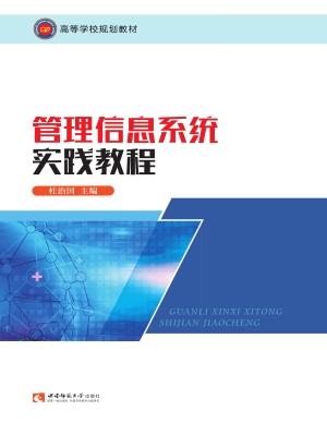 管理信息系统实践教程