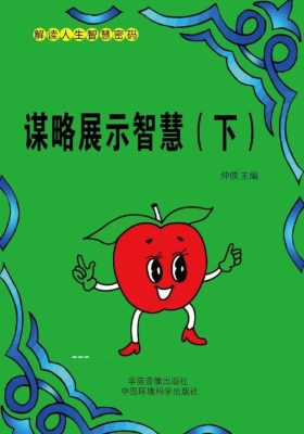 谋略展示智慧（下）
