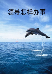 领导怎样办事
